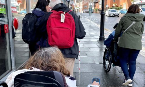 Members and staff on a shopping high street for the Access all Areas campaign