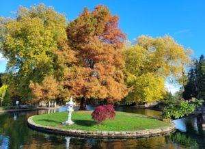 Japanese Gardens at Stoke Park