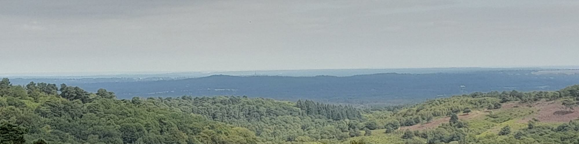 Far-reaching view of forests and hills at Hindhead Commons.