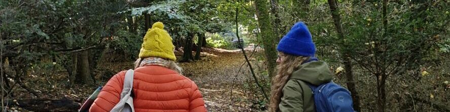 The back of two people walking along a path in a forest