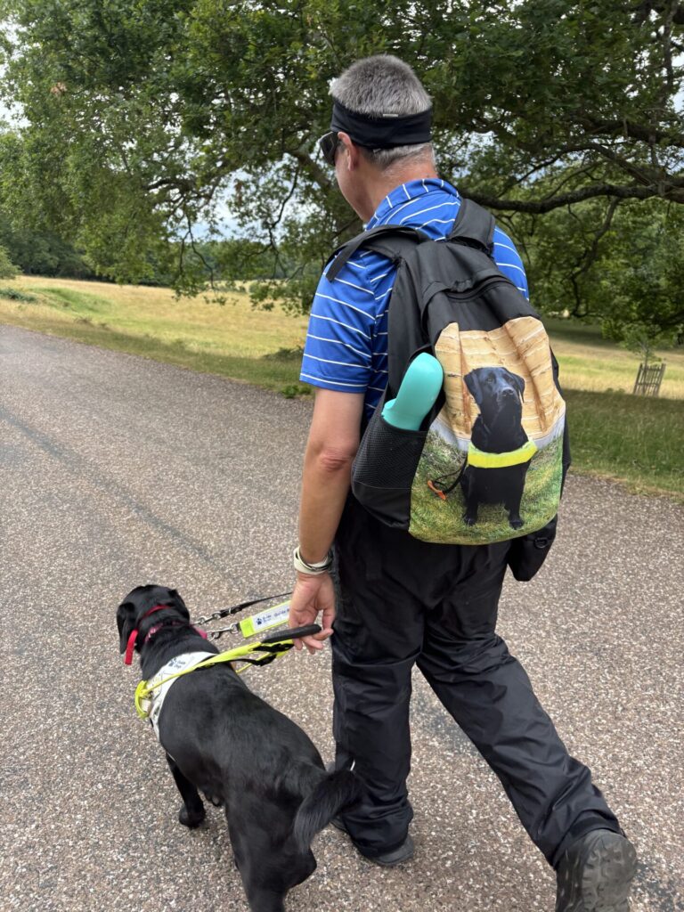 Brian walking with Oasis, his guide dog