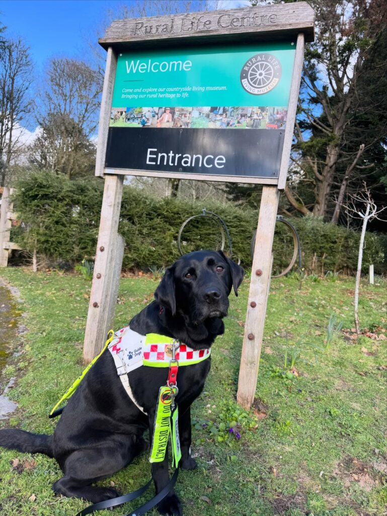 Assistance dog Rowley, who is a black Labrador in front of the welcome sign at the Rural Life Centre 