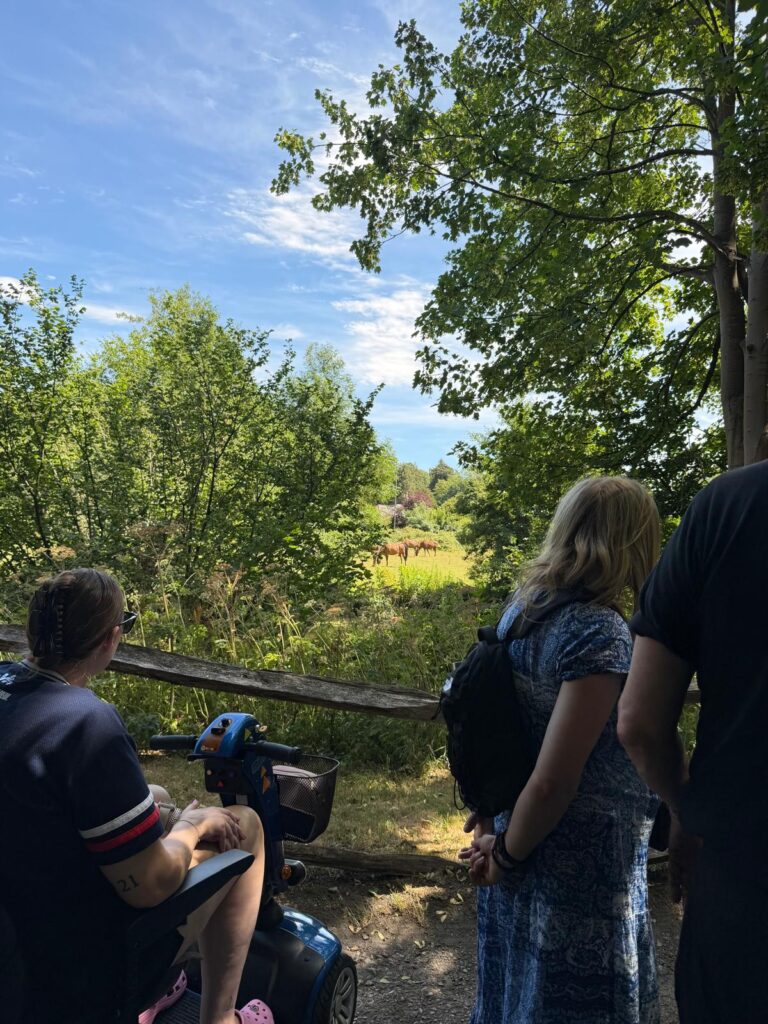 Members looking at horses in a field